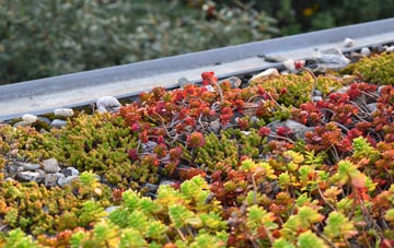 the cost of Brownheath green roof installation